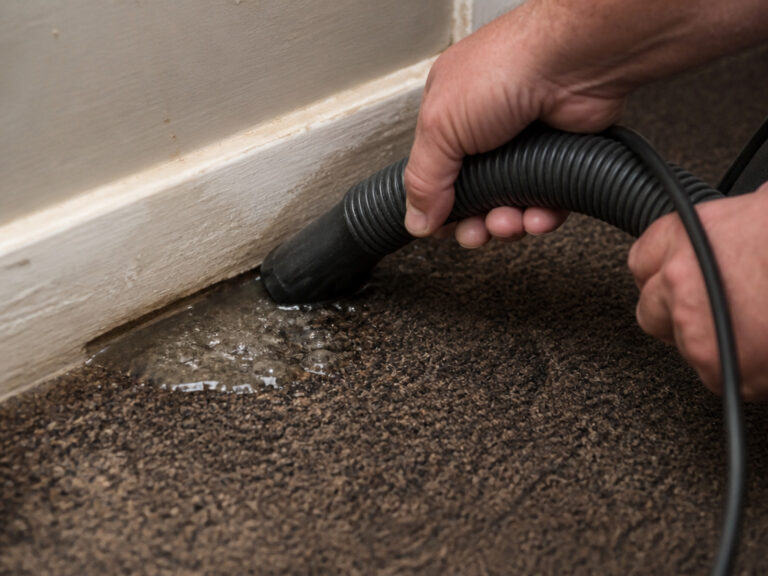 Can I Vacuum a Damp Carpet? The Wet/Dry Vacuum Answer
